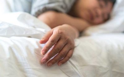Signs of Bed Bugs and Treatment For Bites