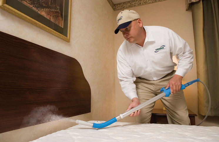 Pesticides to Control Bed Bugs